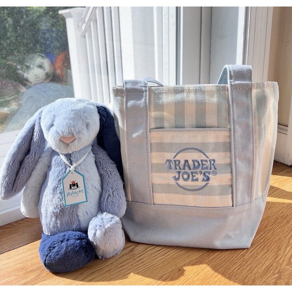 Trader Joe's Striped Mini Canvas Tote Bag - Light Blue/Cream NWT